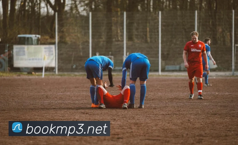 开云平台生态图